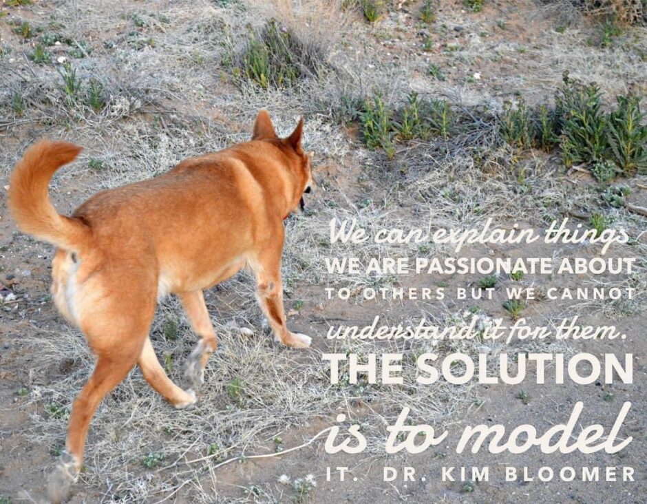 My quote on the solution
