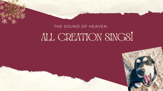 All Creation Sings!