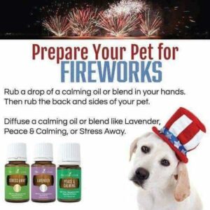 calming for pets