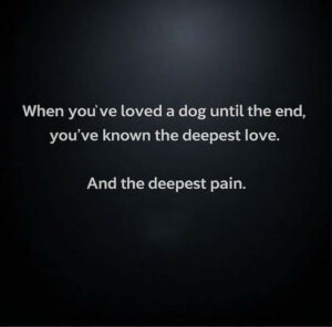 When You've Loved a Dog