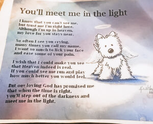 You'll Meet Me in the Light