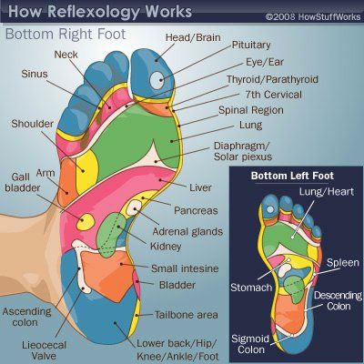 reflexology